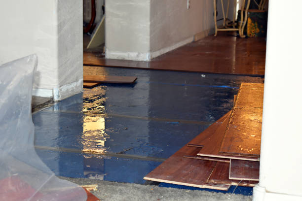 Professional Water Damage technician working in Gorman, TX